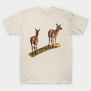 A walk in the park T-Shirt